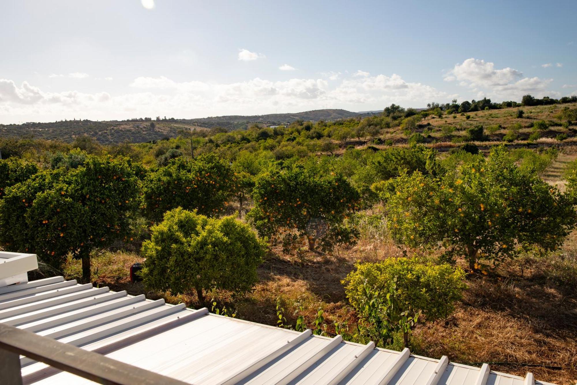 Holiday home Quinta Dos Malhadais, Figueira - *